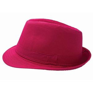 Dress Ups | Party Fedora Hat, Pink Dress Ups Dress Ups