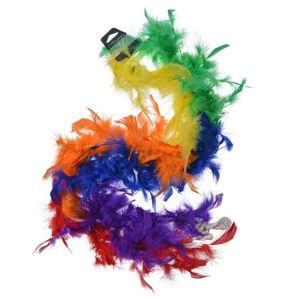 Dress Ups | Rainbow Feather Boa, 1.5m Dress Ups Dress Ups