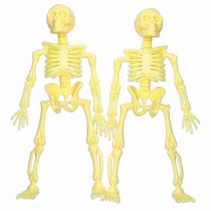 Tableware | Party Favour Skeleton, 2pk Party Tableware